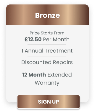 Bronze