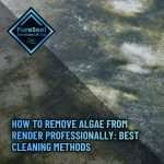 How-to-Remove-Algae-From-Render-Professionally-Best-Cleaning-Methods