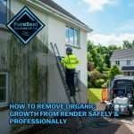 How-to-Remove-Organic-Growth-From-Render-Safely-and-Professionally
