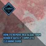 How-to-Remove-Red-Algae-From-Render-Safely-Complete-Cleaning-Guide