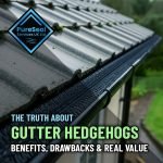 The-Truth-About-Gutter-Hedgehogs-Benefits-Drawbacks-&-Real-Value