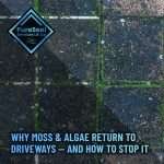 Why-Moss-and-Algae-Return-to-Driveways-And-How-to-Stop-It
