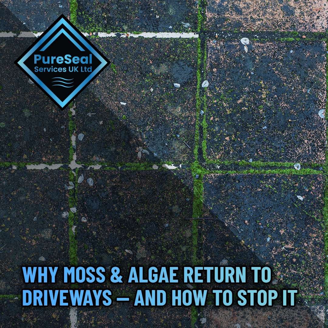 Why-Moss-and-Algae-Return-to-Driveways-And-How-to-Stop-It